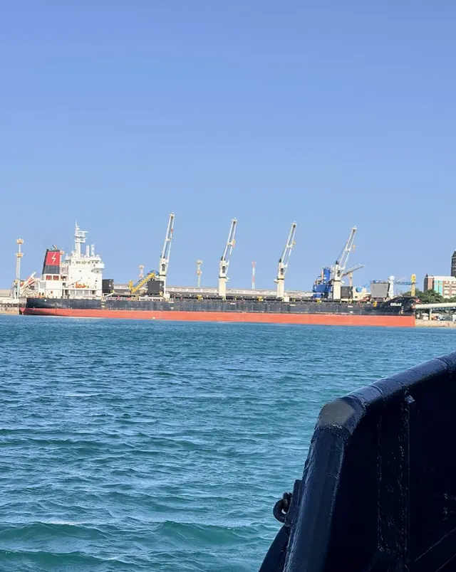 Bulk carrier berthed at a Brazilian port